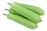 bottle gourd 瓠瓜/蒲瓜 - G & J Florist