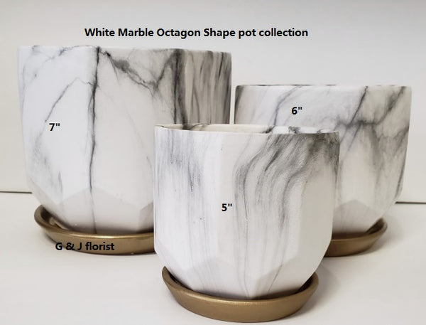 saucer shaped plant pots White marble octagon shape planter with gold saucer( style A) – G & J Florist