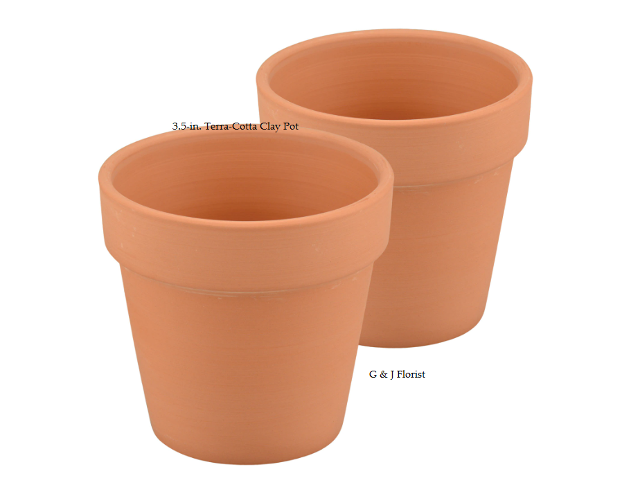 3.5-in. Terra-Cotta Clay Pot - G & J Florist