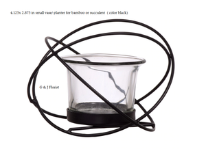 4.125x 2.875 in XS  vase/ planter for bamboo or succulent - G & J Florist