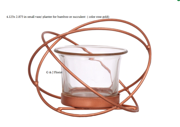 rose gold succulent planter 4.125x 2.875 in XS vase/ planter for bamboo or succulent – G & J Florist