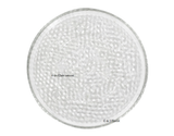 6-in.Glass saucer - G & J Florist