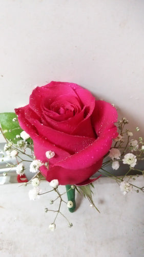 single hot pink rose boutonniere /corsage - G & J Florist